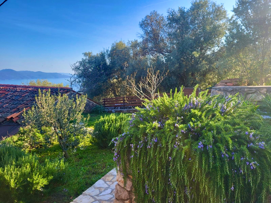 Die Panoramaoase in Istrien ... Willkommen im Garten Eden der Panoramaoase